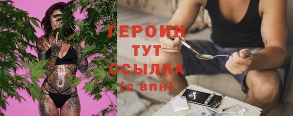 стаф Снежногорск