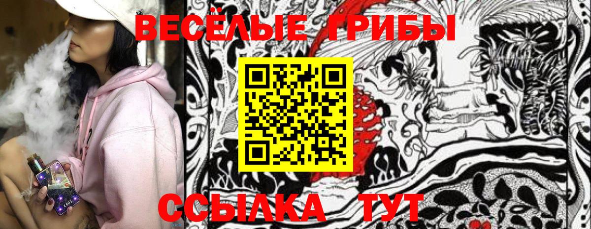 Галлюциногенные грибы Cubensis Сертолово