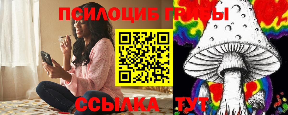 Псилоцибиновые грибы мицелий  Сертолово  Псилоцибиновые грибы Magic Shrooms 