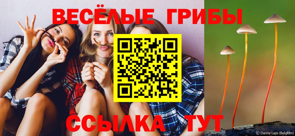 Сертолово  продажа наркотиков  Вход с VPN  Псилоцибиновые грибы Psilocybe 