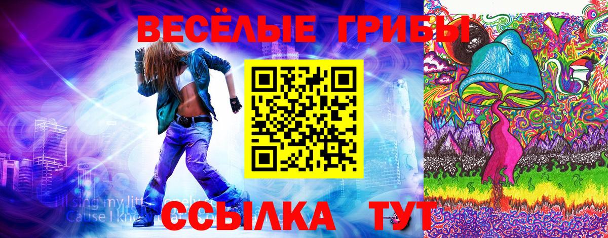 Псилоцибиновые грибы MAGIC MUSHROOMS Сертолово